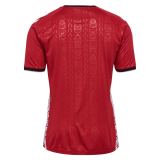 Thai Version Greenland 25/26 Home Jersey