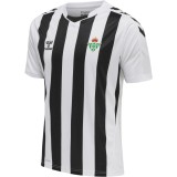 Thai Version Real Betis 2025 Special Jersey