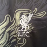 Thai Version Liverpool 25/26 Special Jersey