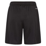 Thai Version Germany 125th Anniversary Shorts