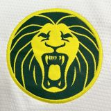 Thai Version Cameroon 2025 Third Jersey