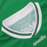 Laois GAA 2025 Mens Goalkeeper Jersey - 3 Stripe