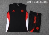 Bayern Munich 25/26 Sleeveless Jersey and Shorts Set D2557