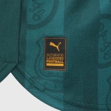 Thai Version Plymouth Argyle FC 25/26 Home Jersey