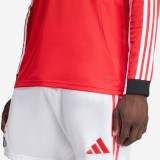 Thai Version Benfica 25/26 Home Long Sleeve Jersey