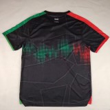 Thai Version Palestino 25/26 Special Jersey