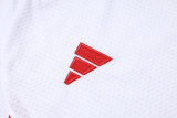 Bayern Munich 25/26 Training Shirt and Shorts Set D2594