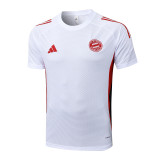 Bayern Munich 25/26 Training Shirt and Shorts Set D2594