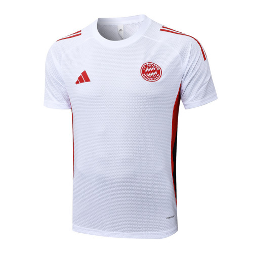 Bayern Munich 25/26 Training Shirt and Shorts Set D2594