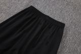 Player Version SL Benfica 25/26 Pro Training Pants