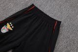 Player Version SL Benfica 25/26 Pro Training Pants