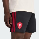 Thai Version Liverpool 25/26 Away Shorts