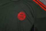 Bayern Munich 25/26 Training Shirt and Shorts Set D25105