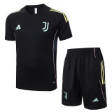 Juventus 25/26 Training Shirt and Shorts Set D25134