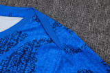 France 25/26 Training Shirt and Shorts Set D25137