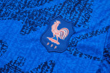 France 25/26 Training Shirt and Shorts Set D25137