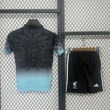 Liverpool 25/26 Special Jersey and Short Kit