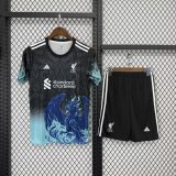 Liverpool 25/26 Special Jersey and Short Kit
