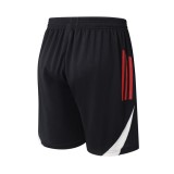 Player Version Liverpool 25/26 Training Pro Shorts