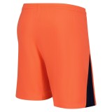 Thai Version Barcelona 25/26 Third Shorts