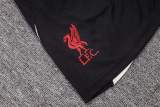 Player Version Liverpool 25/26 Training Pro Shorts