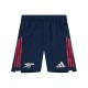 Player Version ARS 25/26 Away Authentic Shorts
