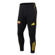 Player Version AS Roma 25/26 Pro Training Pants C2525