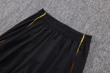 Player Version AS Roma 25/26 Pro Training Pants C2525