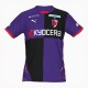 Thai Version Kyoto Sanga 2025 Home Jersey