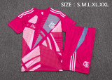 Flamengo 25/26 Training Shirt and Shorts Set D25153 - PM
