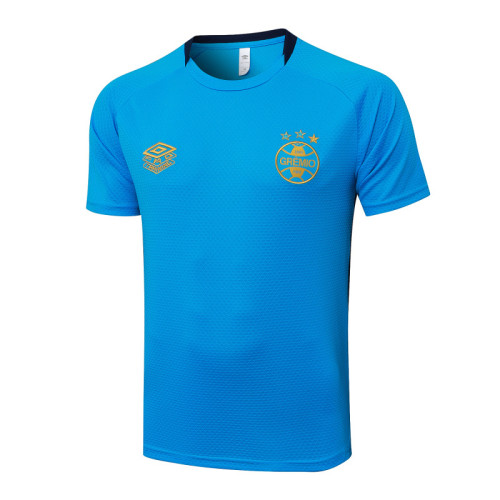 Gremio 25/26 Training Shirt and Shorts Set D25173