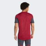 Thai Version ARS 25/26 Competition Training Jersey