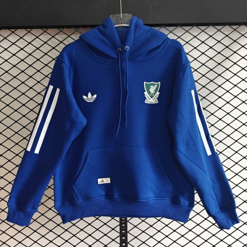 Liverpool 25/26 Team Hoodie - 10
