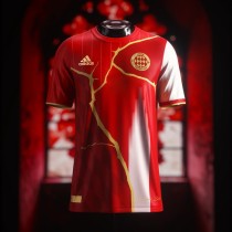 Thai Version Bayern Munich 25/26 Special Jersey