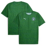 Thai Version Manchester City 25/26 Pre Match Jersey