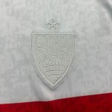 Thai Version VfB Stuttgart 25/26 Special Jersey