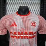 Player Version Canada 2026 World Cup Authentic Jersey