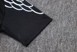 PSG 25/26 Training Shirt and Shorts Set D25187 - PM
