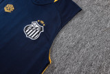 Santos 25/26 Sleeveless Jersey and Shorts Set D25184