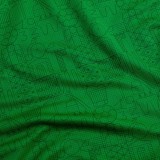 Thai Version AS Saint-Étienne 25/26 Home Jersey