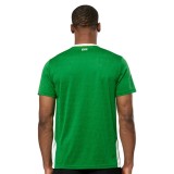 Thai Version Ireland 2024 Home Jersey