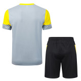 Borussia Dortmund 25/26 Training Shirt and Shorts Set D25212 - PM