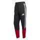Player Version Germany 2026 Pro Training Pants
