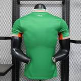 Player Version Ireland 2025 Home Authentic Jersey