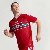 Player Version Wales 2026 Home Authentic Jersey