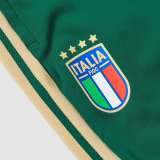 Player Version Italy 2026 Pro Training Pants