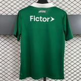 Thai Version Palmeiras 25/26 Special Jersey