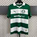 Thai Version Palmeiras 25/26 Special Jersey