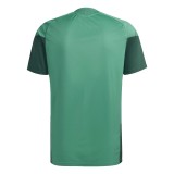 Thai Version Algeria 2026 Training Jersey