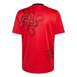 Thai Version MUFC 25/26 Cultural Story Jersey